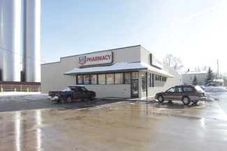 More details for 222 N Chestnut St, Reed City, MI - Retail for Sale