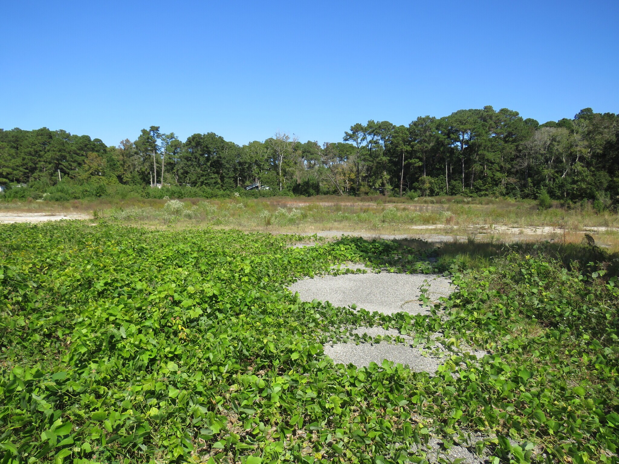 4200 Adams st, Little River, SC for sale Other- Image 1 of 7