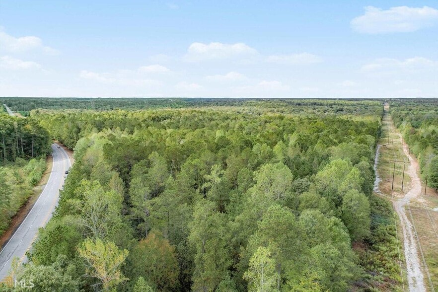 GA Hwy 85 S, Senoia, GA à vendre - Photo du bâtiment - Image 2 de 4