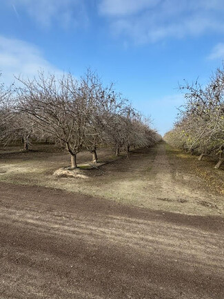 Plus de détails pour 5100 S Pratt St, Tulare, CA - Terrain à vendre