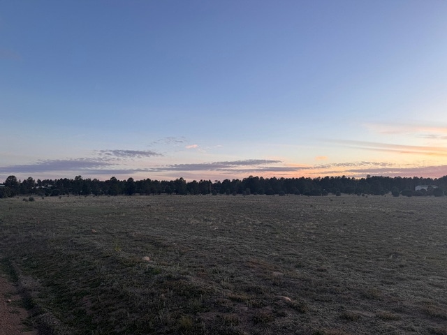 2216 Mogollon Rim Dr, Overgaard, AZ for sale - Other - Image 3 of 16