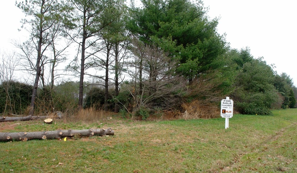 12333 Iron Bridge Rd, Chester, VA for sale - Other - Image 2 of 2