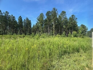 More details for 001 Johnson Rd, Mineral, VA - Land for Sale