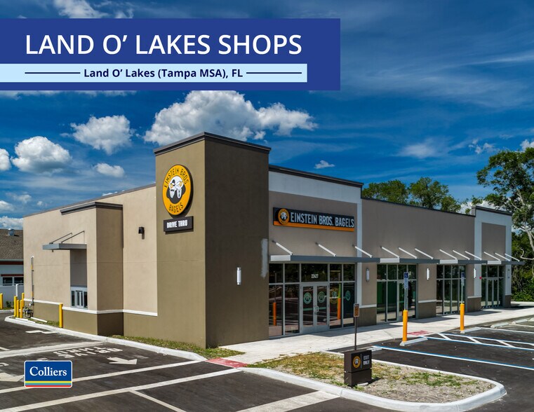 22427-22441 SR 54, Land O' Lakes, FL à vendre - Photo du bâtiment - Image 1 de 3