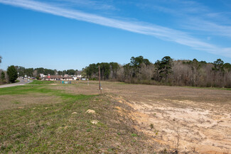 Plus de détails pour U. S. Highway 69 S, Woodville, TX - Terrain à vendre