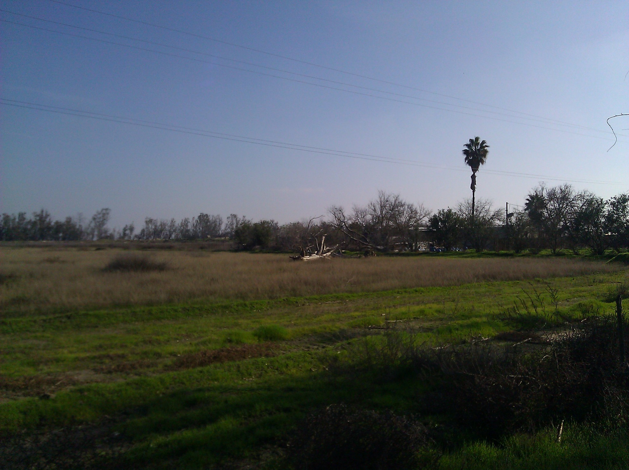 28919 W Whitesbridge Ave, Mendota, CA for sale Building Photo- Image 1 of 1