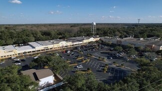 More details for 18407-18489 N Us Highway 41, Lutz, FL - Retail for Lease