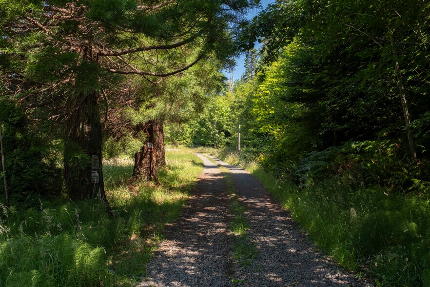 1048 Peters Rd, Port Angeles, WA à vendre - Autre - Image 2 de 29