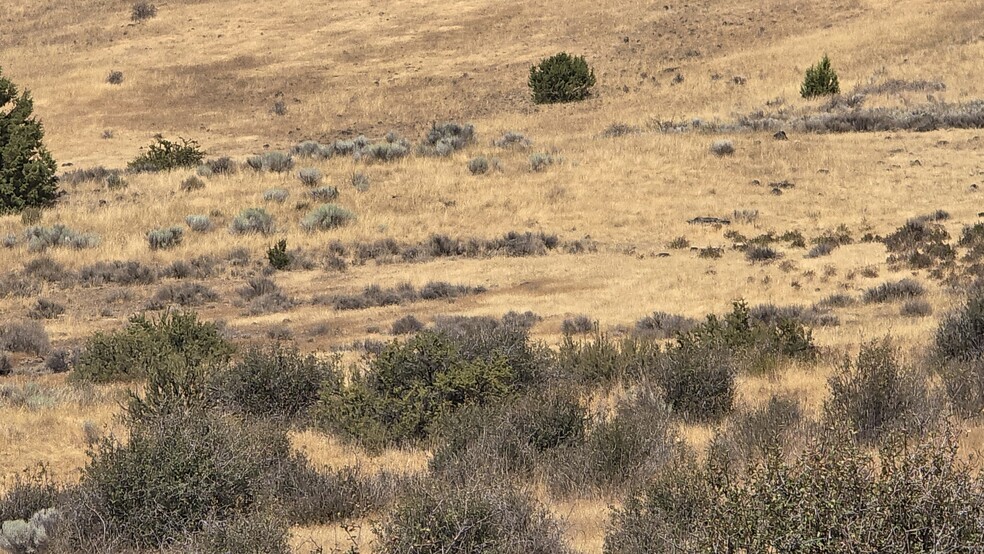 lot 400 Uhrmann Rd Rd, Klamath Falls, OR for sale - Building Photo - Image 2 of 10