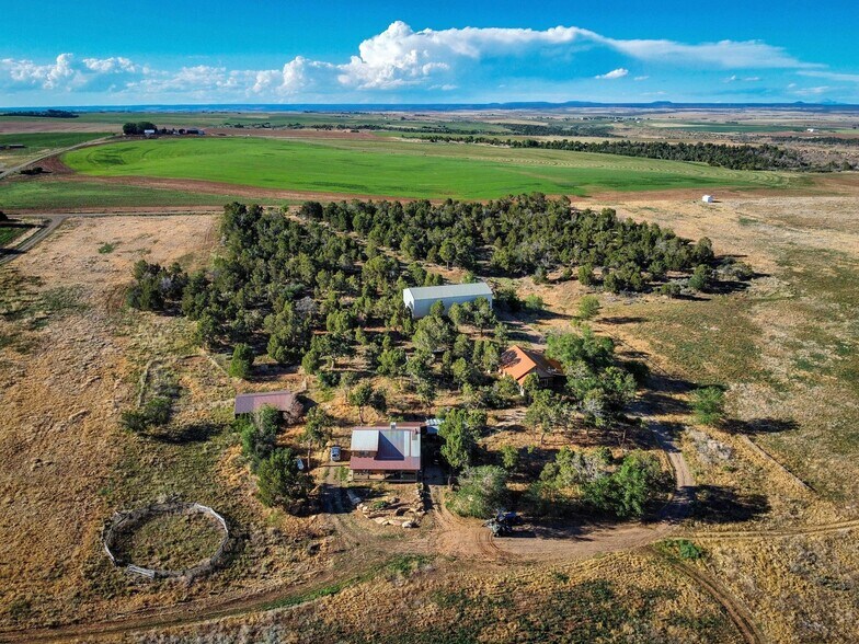 19444 Road 16.5, Yellow Jacket, CO à vendre - Photo du bâtiment - Image 2 de 46