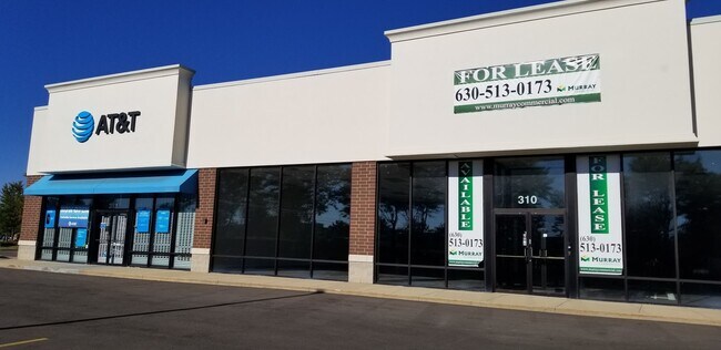 Plus de détails pour 310 Randall Rd, South Elgin, IL - Commerce de détail à louer