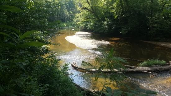 7389 Leeds Manor Rd, Marshall, VA for sale - Primary Photo - Image 1 of 1