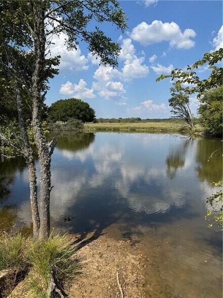 80 Acres TBD LCR 648, Thornton, TX à vendre - Photo du bâtiment - Image 3 de 14