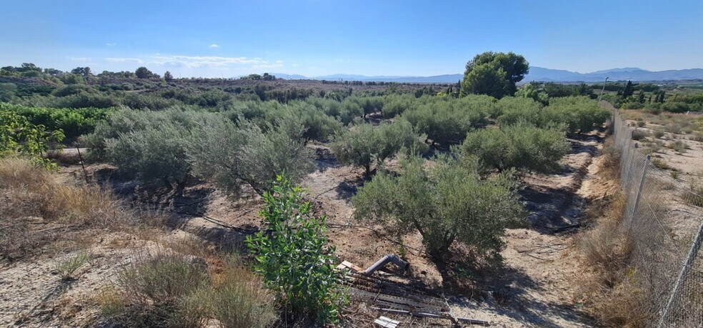 Terrain dans Molina de Segura, Murcia à vendre - Photo du bâtiment - Image 2 de 2