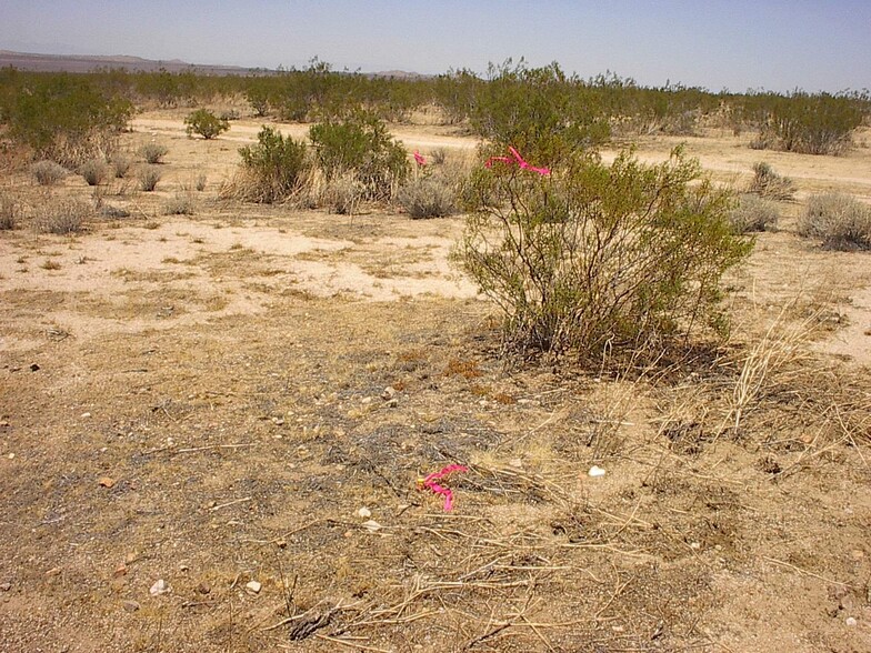 Cherry Rd, El Mirage, CA for lease - Building Photo - Image 2 of 45