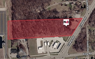 More details for 20874 Dix-Toledo Rd, Brownstown Township, MI - Land for Sale