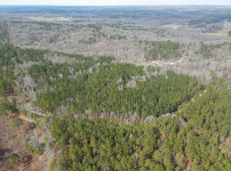 Wilson Rd, Whitesburg, GA for sale - Aerial - Image 2 of 2