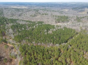 Wilson Rd, Whitesburg, GA - aerial  map view