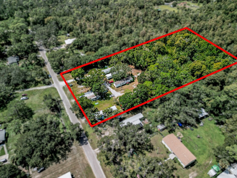 4410 Pine St, Valrico, FL à vendre - Aérien - Image 2 de 6