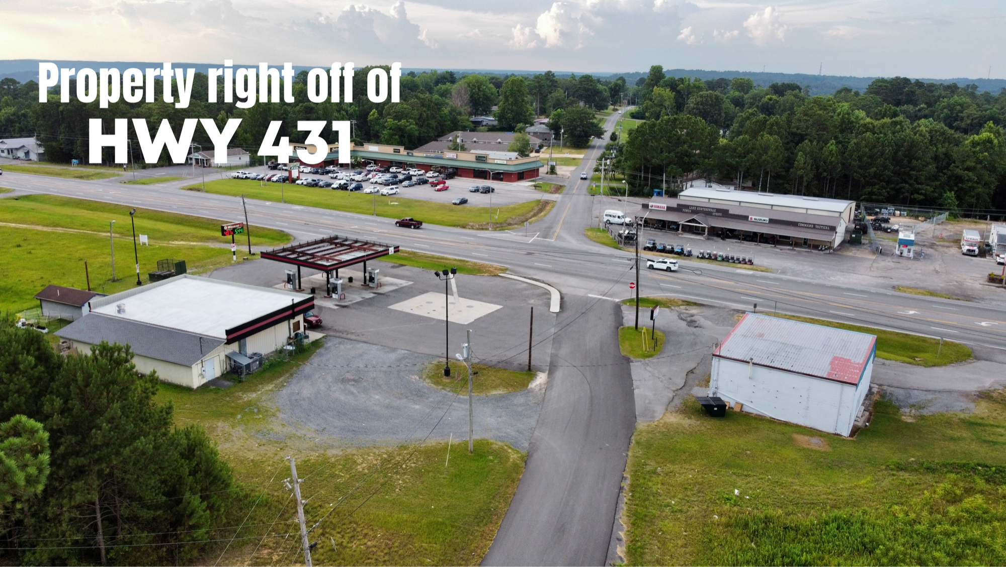 HIGHWAY 431, Guntersville, AL for sale Primary Photo- Image 1 of 1