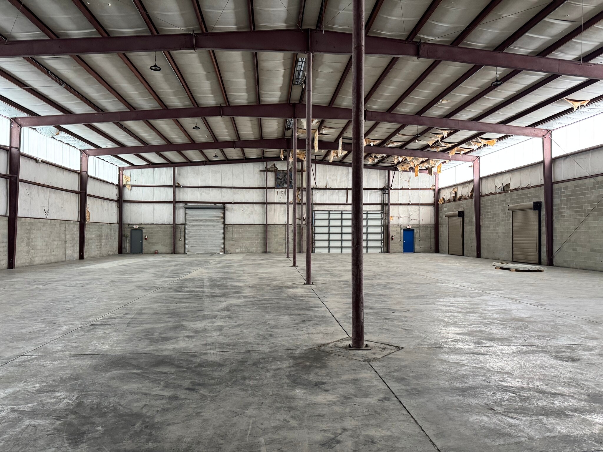 12925 N 49th St, Clearwater, FL for lease Interior Photo- Image 1 of 1