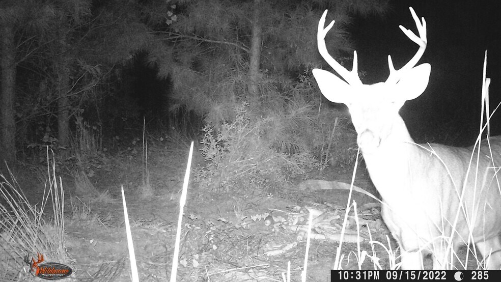 Repose Drive Rd, Branchville, SC à vendre - Photo du bâtiment - Image 2 de 7