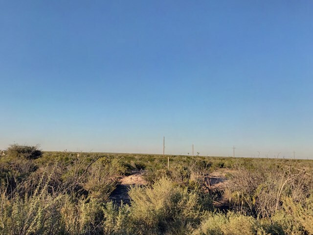 10 Acres County Road 2545, Coyanosa, TX à vendre - Photo du bâtiment - Image 3 de 9