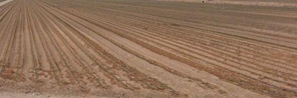 Land in Aspe, Alicante for sale Building Photo- Image 1 of 2