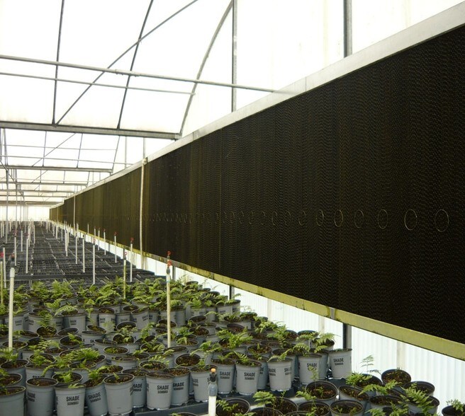 4103 Ondich Rd, Apopka, FL à louer - Autre - Image 3 de 11