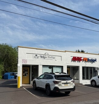 Plus de détails pour 3617 Old Easton Rd, Doylestown, PA - Commerce de détail à louer