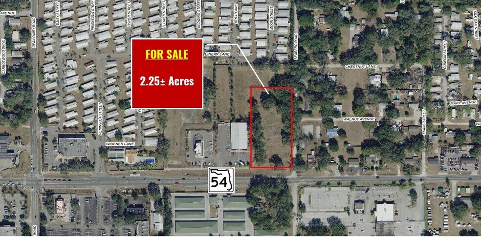 State Road 54 & Seaberg Rd, Zephyrhills, FL à vendre - Photo du bâtiment - Image 1 de 4