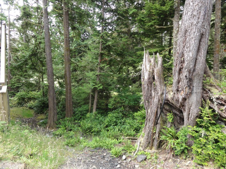 4 Boardwalk Boulevard Pl, Ucluelet, BC for sale - Building Photo - Image 1 of 1