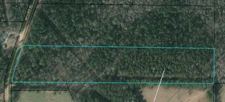 Plus de détails pour 0 Witcher Rd, Newnan, GA - Terrain à vendre