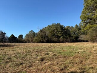 Plus de détails pour Liberty Church Road Rd, Ranger, GA - Terrain à vendre