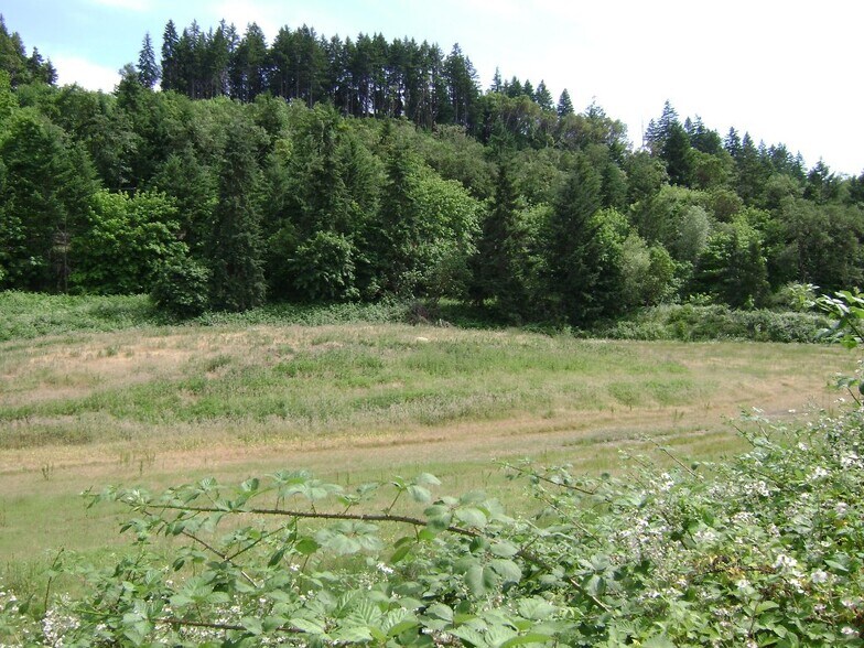 560 Stearns Ln, Oakland, OR for sale - Building Photo - Image 3 of 13