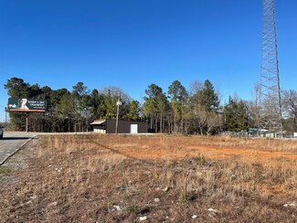 Plus de détails pour 37105 US Hwy 280, Sylacauga, AL - Terrain à vendre