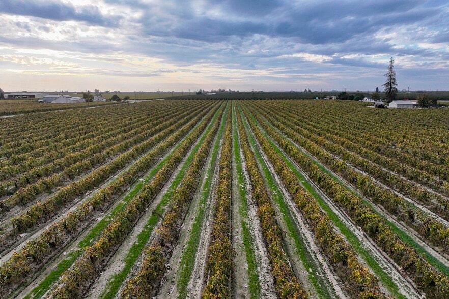 11836 S Hughes Ave, Caruthers, CA à vendre - Photo du bâtiment - Image 2 de 12