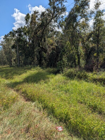 18011 N US Hwy 301, Citra, FL à vendre - Photo du bâtiment - Image 2 de 11