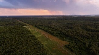 More details for Holly Ridge, Delhi, LA - Land for Sale