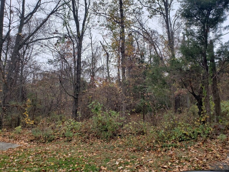 4214 Pine Ln, Alexandria, VA for sale - Other - Image 3 of 3