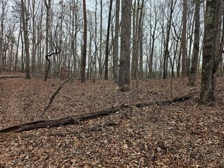 More details for 000 Weaver Mill Road, Columbus, NC - Land for Sale