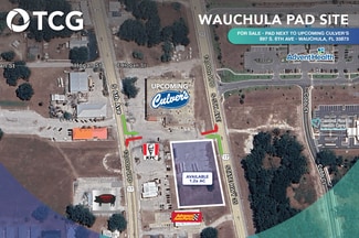 Plus de détails pour 897 S 6th Ave, Wauchula, FL - Terrain à vendre