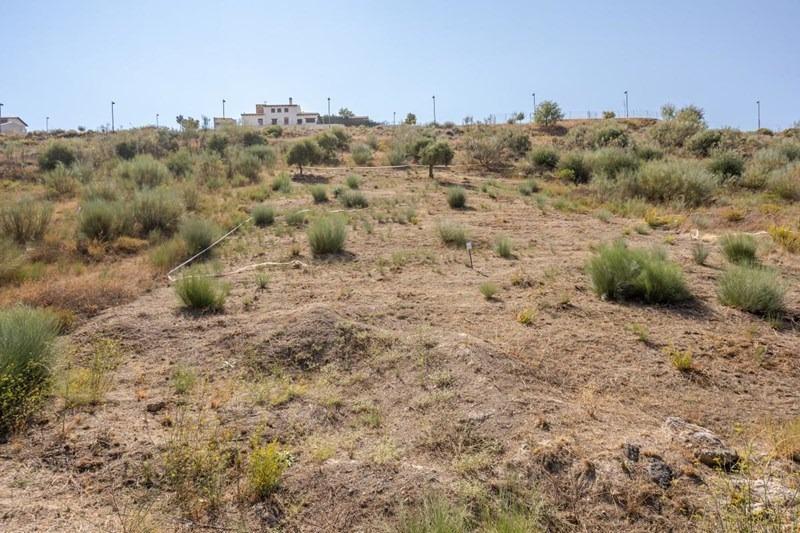 Calle Gredos, 168, La Zubia, Granada for sale - Site Plan - Image 3 of 16