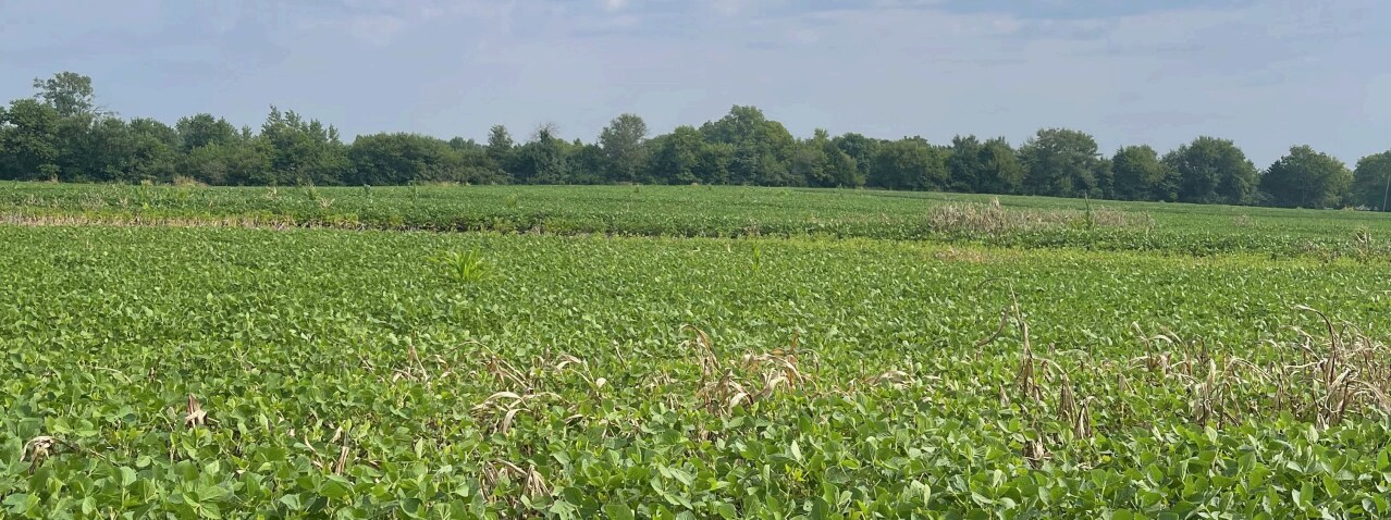 219th Nall Rd, Bucyrus, KS à vendre Photo principale- Image 1 de 2