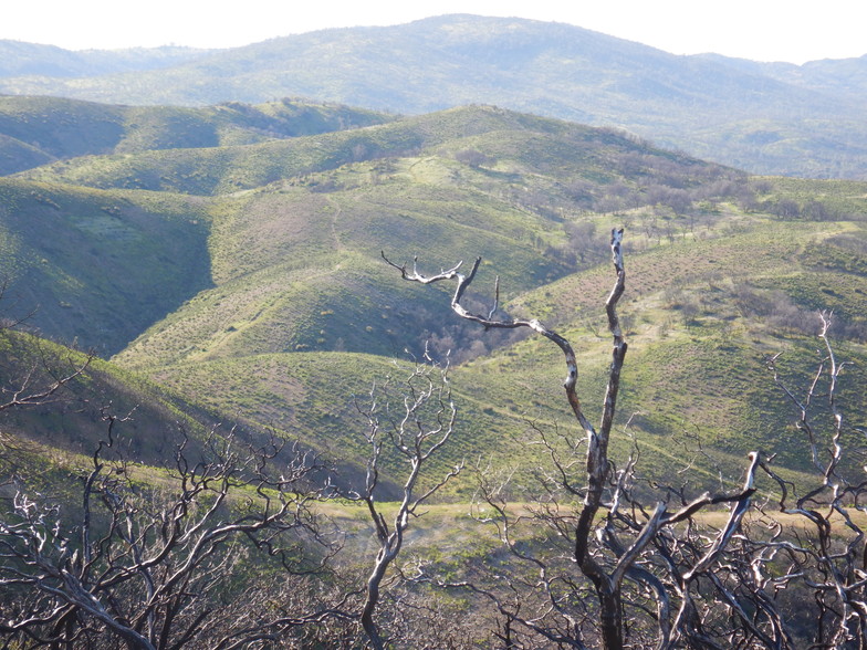 Old Toll House Rd, Mariposa, CA for sale - Other - Image 3 of 8