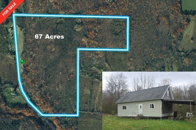 More details for 7658 Donnelly Rd, Almond, NY - Land for Sale