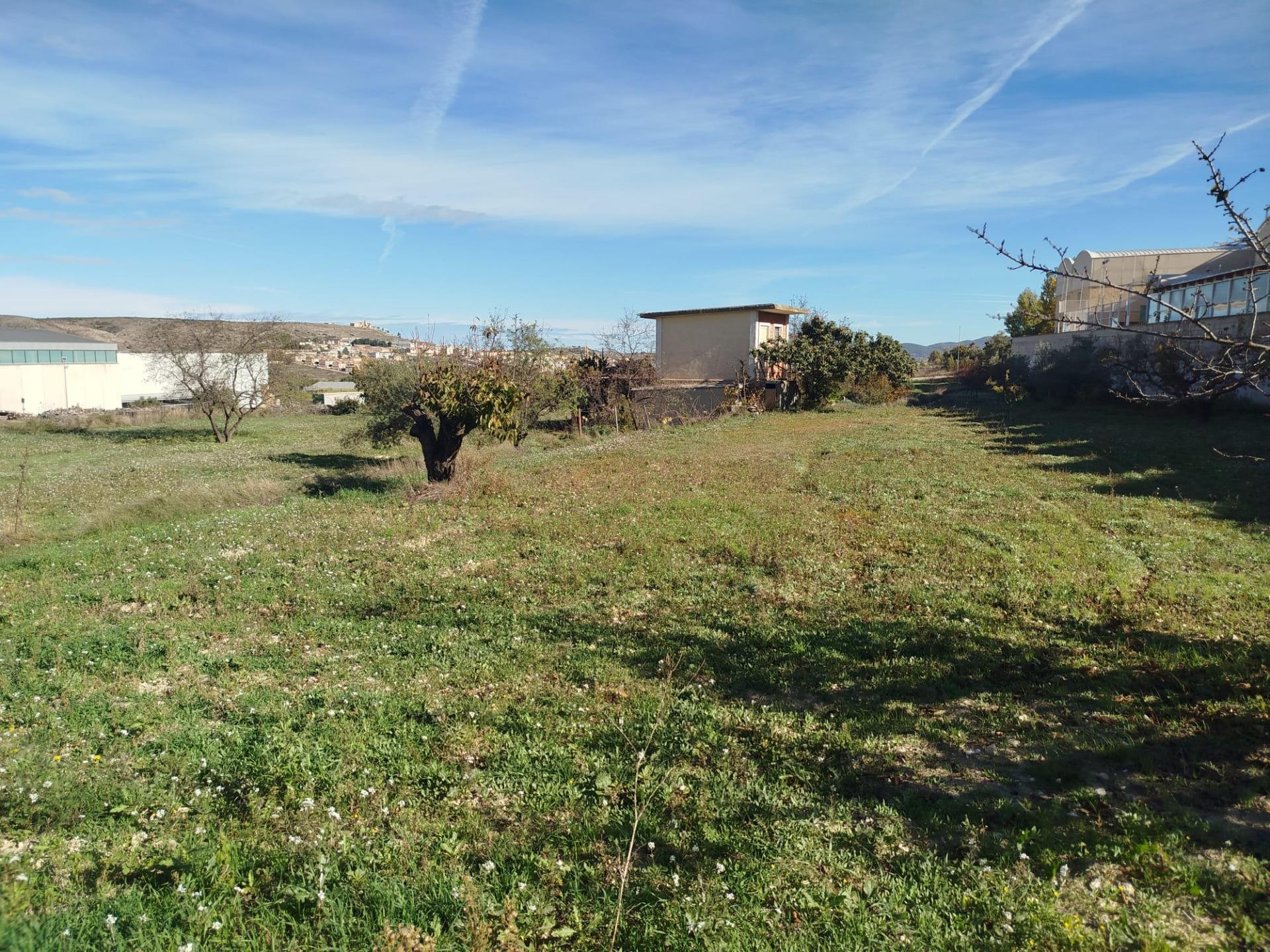 Land in Bocairent, Valencia for sale Primary Photo- Image 1 of 4