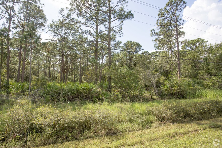 2650 NE Pine Island Rd, Cape Coral, FL for sale - Primary Photo - Image 2 of 6