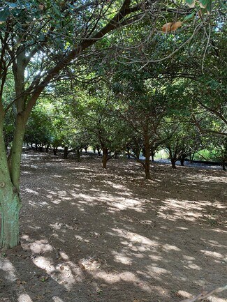 Plus de détails pour lower cane haul rd, Paauilo, HI - Terrain à vendre