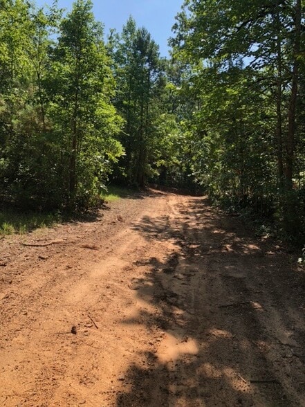 Hwy 157, Plain Dealing, LA for sale - Building Photo - Image 2 of 9